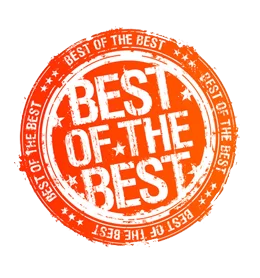 Logo for the Best of the Best